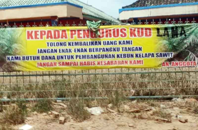 Ribuan anggota Koperasi Unit Desa (KUD) Marga Mulya di Desa Makarti Mulya, Kecamatan Mesuji, Kabupaten Ogan Komering Ilir (OKI) masih menanti kepastian.